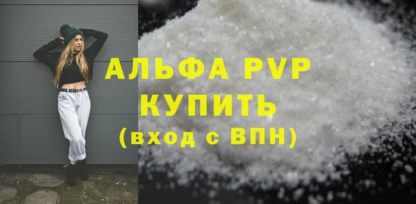 прущие грибы Дмитровск