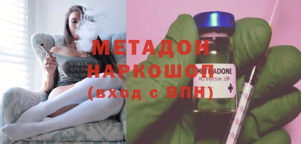 индика Ельня