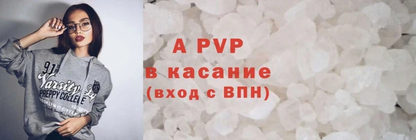 прущие грибы Дмитровск
