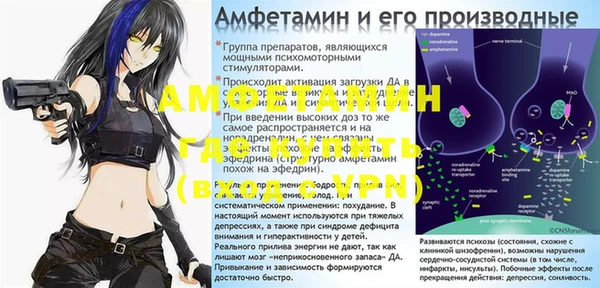 прущие грибы Дмитровск