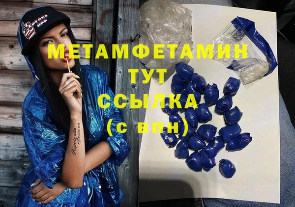 прущие грибы Дмитровск