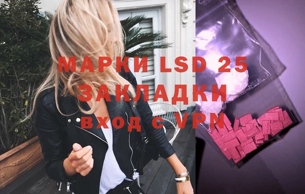 прущие грибы Дмитровск