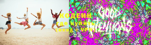соль ск Дмитров